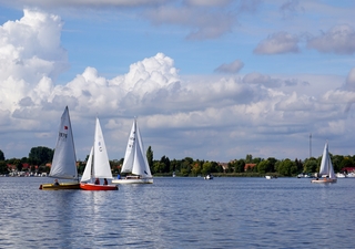 Regatta
